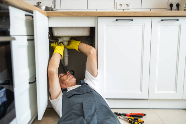 Best Septic Systems  in Ontonagon, MI